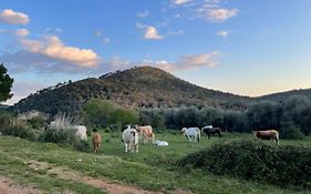 CASA ADELE 1 per una vacanza in semplicità e relax in prossimità di Sperlonga
